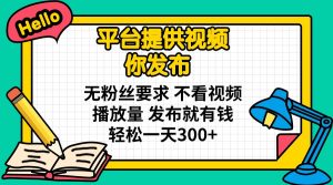 平台提供视频 你发布 无粉丝要求 不看视频播放量 发布就有钱 轻松一天300+-揽颜居工坊