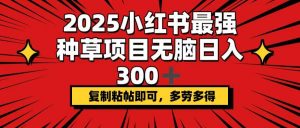 2025小红书最强种草项目，无脑日入300+，复制粘帖即可，多劳多得-揽颜居工坊
