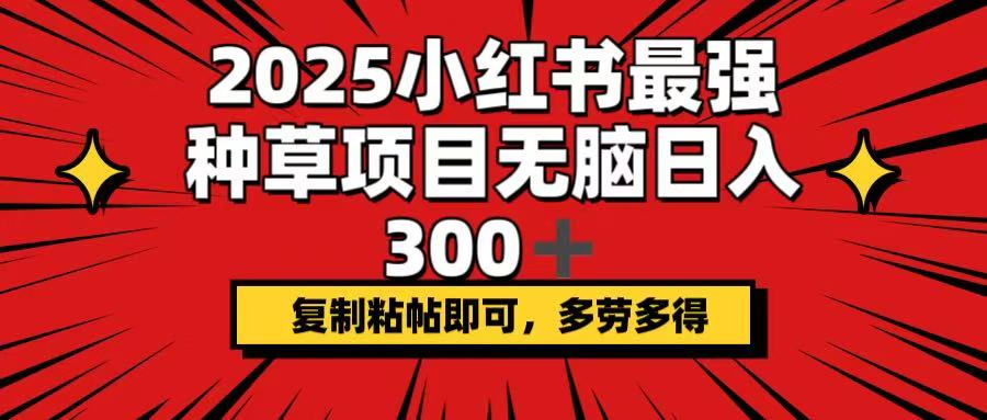 2025小红书最强种草项目，无脑日入300+，复制粘帖即可，多劳多得-揽颜居工坊