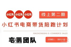 小红书电商带货课2期，月利润20个的小红书电商的有货源，无货源，虚拟产品，付费投流等整套玩法-揽颜居工坊