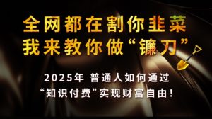 全网都在割你韭菜，我来教你做镰刀,2025普通人如何通过知识付费，实现财F自由【揭秘】-揽颜居工坊