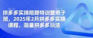 拼多多实操陪跑特训营弟子班，2025年2月拼多多实操课程，海量拼多多玩法-揽颜居工坊