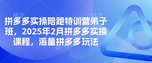 拼多多实操陪跑特训营弟子班，2025年2月拼多多实操课程，海量拼多多玩法-揽颜居工坊