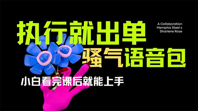 爆火全网的开车导航骚气语音包,只要执行就出单，小白看完课程就能实操…-揽颜居工坊
