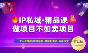 2025年“IP私域·密训精品课”，日赚3000+小白避坑年赚百万，暴力引流...-揽颜居工坊