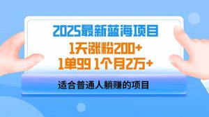 2025蓝海项目 1天涨粉200+ 1单99 1个月2万+-揽颜居工坊