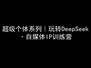 超级个体系列，玩转DeepSeek·自媒体IP训练营，deepseek教程-揽颜居工坊