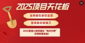2025项目天花板普通人如何通过知识付费，实现财F自由【揭秘】-揽颜居工坊