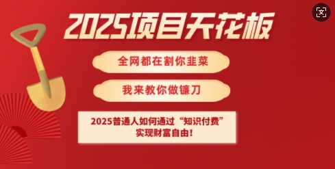 2025项目天花板普通人如何通过知识付费,实现财F自由【揭秘】-揽颜居工坊