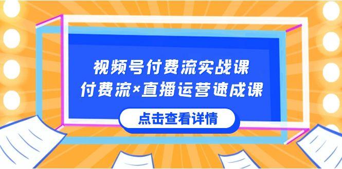 视频号付费流实战课，付费流×直播运营速成课，让你快速掌握视频号核心运营技能-揽颜居工坊