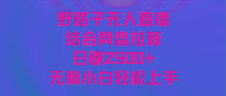 无人直播野路子结合网盘拉新，日赚2500+多平台变现，小白无脑轻松上手操作-揽颜居工坊