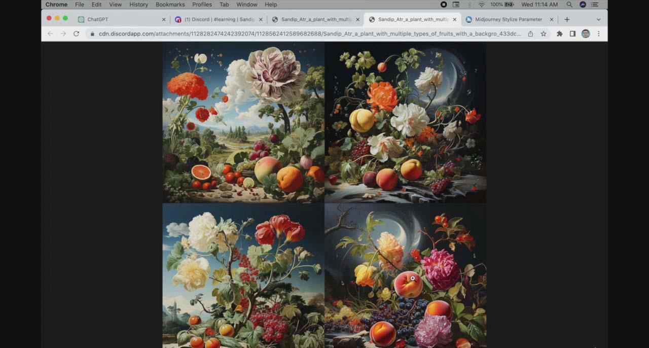 图片[1]-ChatGPT4 和 MidJourney AI 绘画聊天革命性指南教程-33节视频课-中英字幕-揽颜居工坊