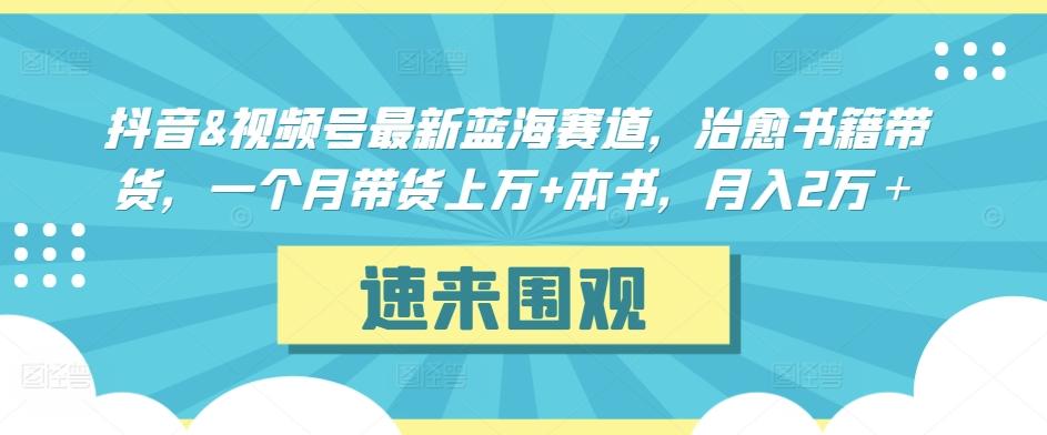 抖音&视频号最新蓝海赛道，治愈书籍带货，一个月带货上万+本书，月入2万＋【揭秘】-揽颜居工坊