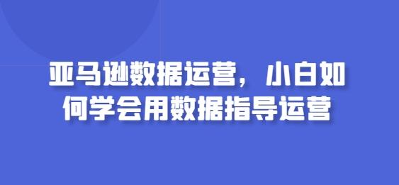 亚马逊数据运营，小白如何学会用数据指导运营-揽颜居工坊