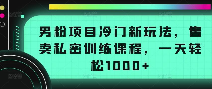 男粉项目冷门新玩法，售卖私密训练课程，一天轻松1000+【揭秘】-揽颜居工坊