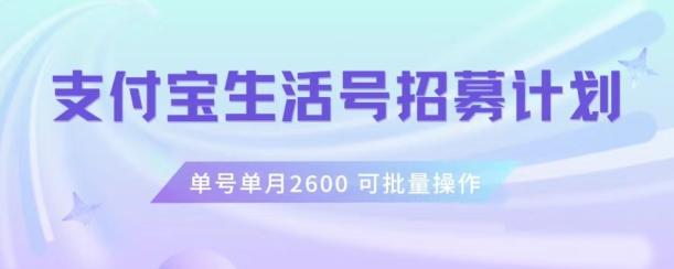 支付宝生活号作者招募计划，单号单月2600，可批量去做，工作室一人一个月轻松1w+【揭秘】-揽颜居工坊