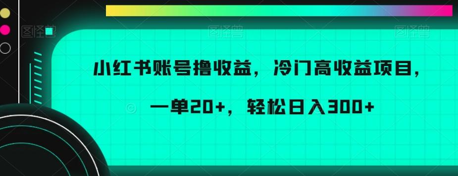 小红书账号撸收益，冷门高收益项目，一单20+，轻松日入300+【揭秘】-揽颜居工坊