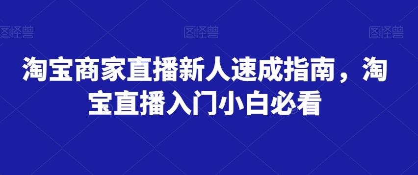 淘宝商家直播新人速成指南，淘宝直播入门小白必看-揽颜居工坊