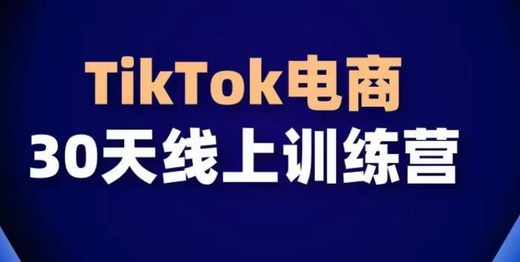 TikTok电商带货30天线上课，不可错过的全球流量洼地！-揽颜居工坊