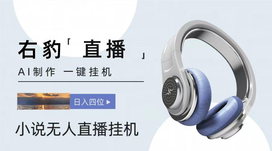 右豹小说无人直播挂机吸金项目，简单易行收益稳定， 月入1000+-揽颜居工坊