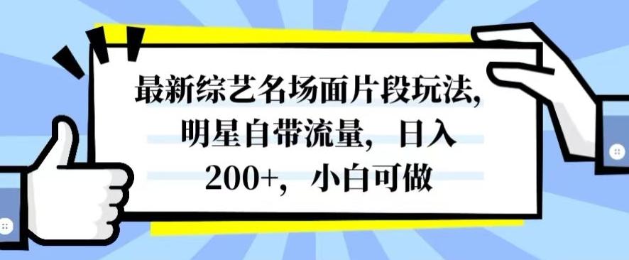 最新综艺名场面片段玩法，明星自带流量，日入200+，小白可做【揭秘】-揽颜居工坊