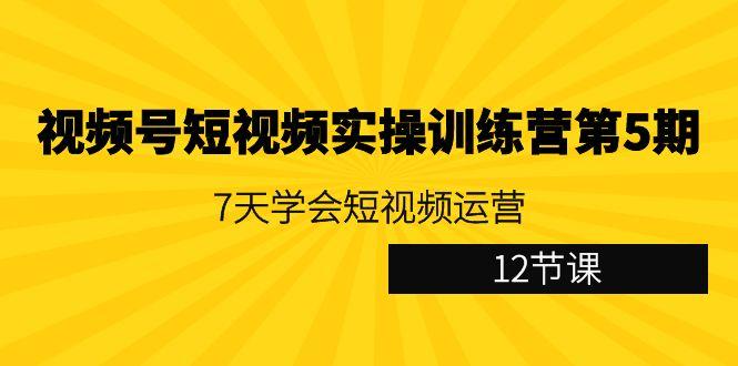 视频号短视频实操训练营第5期：7天学会短视频运营(12节课)-揽颜居工坊