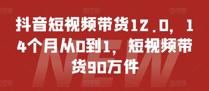 抖音短视频带货12.0，14个月从0到1，短视频带货90万件-揽颜居工坊