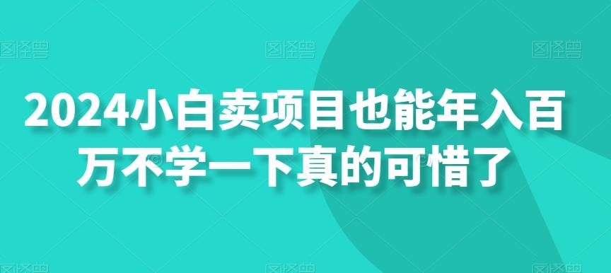 2024小白卖项目也能年入百万不学一下真的可惜了-揽颜居工坊