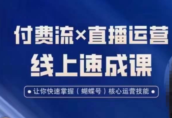 视频号付费流实操课程，付费流✖️直播运营速成课，让你快速掌握视频号核心运营技能-揽颜居工坊