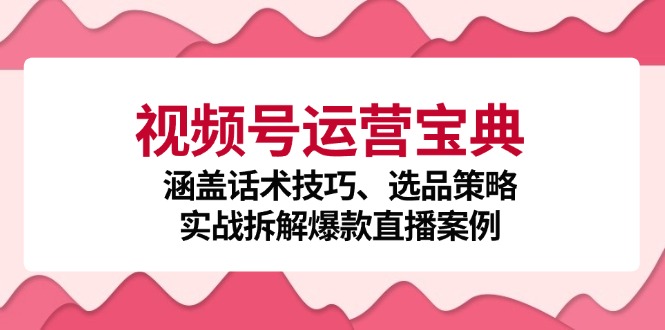 视频号运营宝典：涵盖话术技巧、选品策略、实战拆解爆款直播案例-揽颜居工坊