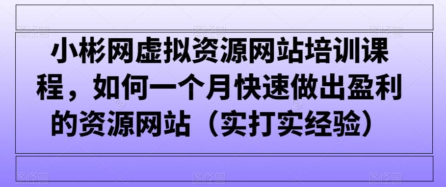 小彬网虚拟资源网站培训课程，如何一个月快速做出盈利的资源网站(实打实经验)-揽颜居工坊