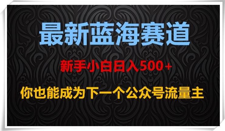 最新蓝海赛道，新手小白日入500+，你也能成为下一个公众号流量主【揭秘】-揽颜居工坊