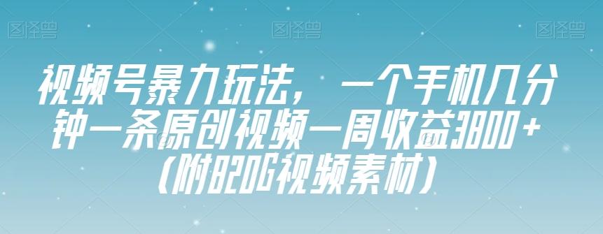 视频号暴力玩法，一个手机几分钟一条原创视频一周收益3800+（附820G视频素材）-揽颜居工坊