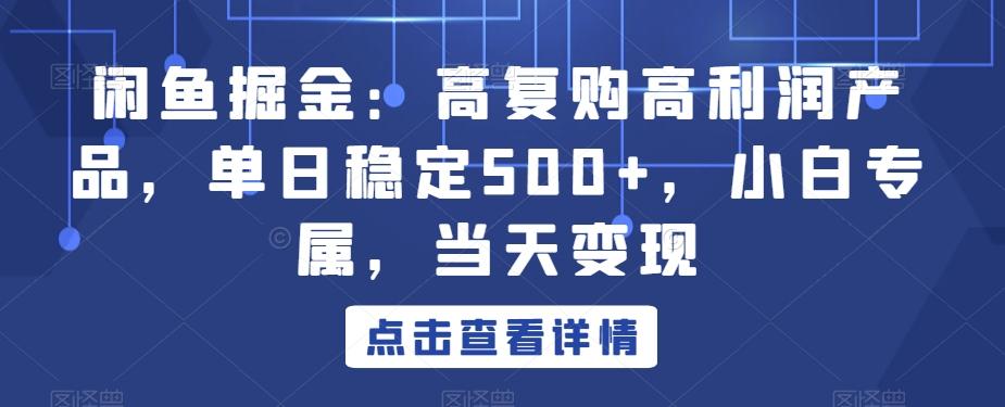 闲鱼掘金：高复购高利润产品，单日稳定500+，小白专属，当天变现-揽颜居工坊