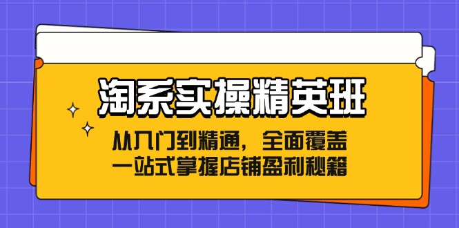 淘系实操精英班：从入门到精通，全面覆盖，一站式掌握店铺盈利秘籍-揽颜居工坊