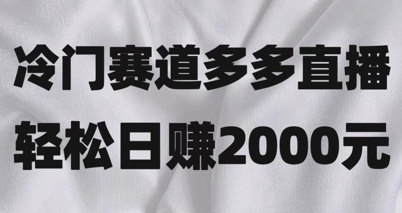 冷门赛道拼多多直播，简单念稿子，日收益2000＋【揭秘】-揽颜居工坊