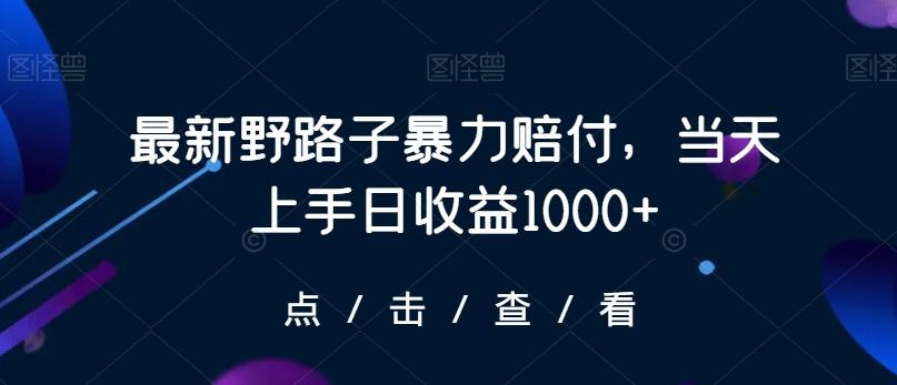 最新野路子暴力赔付，当天上手日收益1000+【仅揭秘】-揽颜居工坊