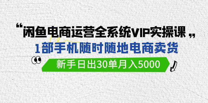 (9547期)闲鱼电商运营全系统VIP实战课，1部手机随时随地卖货，新手日出30单月入5000-揽颜居工坊