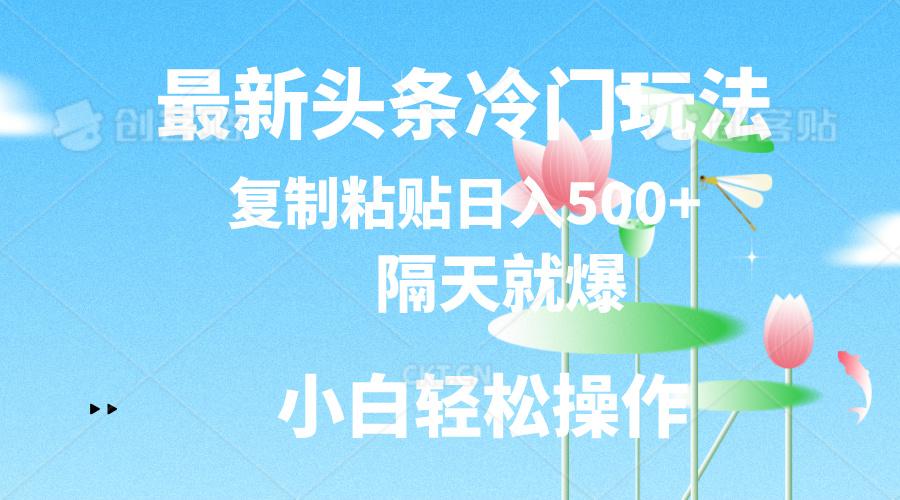 最新头条冷门玩法，隔天就爆，复制粘贴日入500+-揽颜居工坊