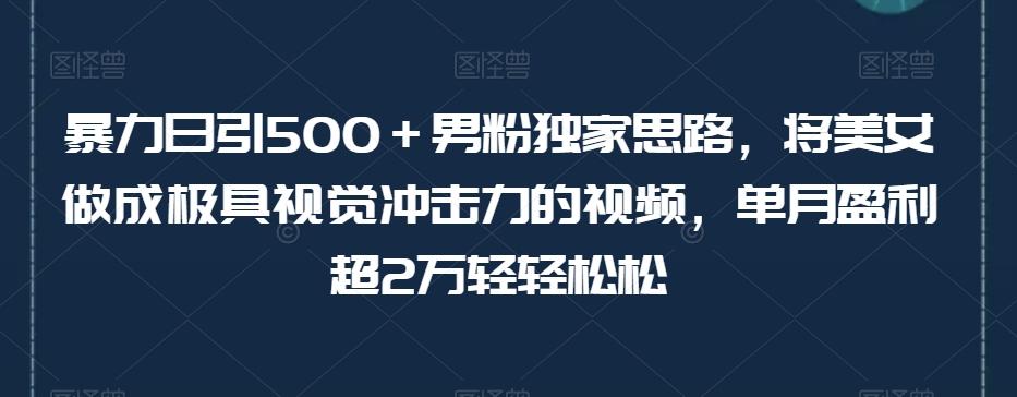 暴力日引500＋男粉独家思路，将美女做成极具视觉冲击力的视频，单月盈利超2万轻轻松松-揽颜居工坊