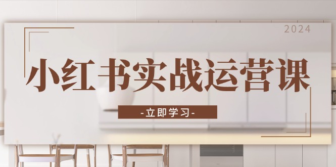 小红书实战运营课：从开通店铺到直播话术，打造爆款笔记与高效直播-揽颜居工坊