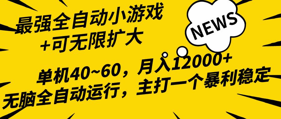 (10046期)2024最新全网独家小游戏全自动，单机40~60,稳定躺赚，小白都能月入过万-揽颜居工坊
