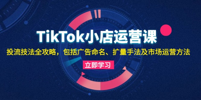 TikTok小店运营课：投流技法全攻略，包括广告命名 扩量手法及市场运营方法-揽颜居工坊