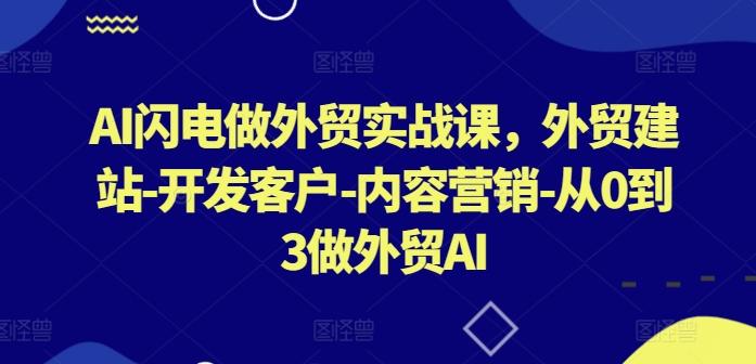 AI闪电做外贸实战课，​外贸建站-开发客户-内容营销-从0到3做外贸AI-揽颜居工坊