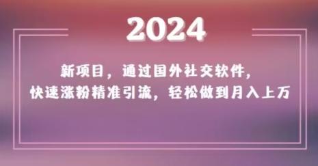 2024新项目，通过国外社交软件，快速涨粉精准引流，轻松做到月入上万【揭秘】-揽颜居工坊