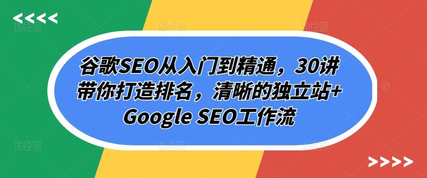 谷歌SEO从入门到精通，30讲带你打造排名，清晰的独立站+Google SEO工作流-揽颜居工坊