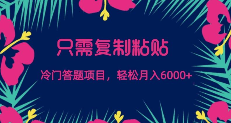 只需复制粘贴,冷门答题项目,轻松月入6000-揽颜居工坊