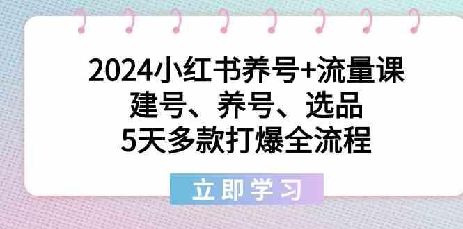 2024小红书养号+流量课:建号、养号、选品,5天多款打爆全流程-揽颜居工坊