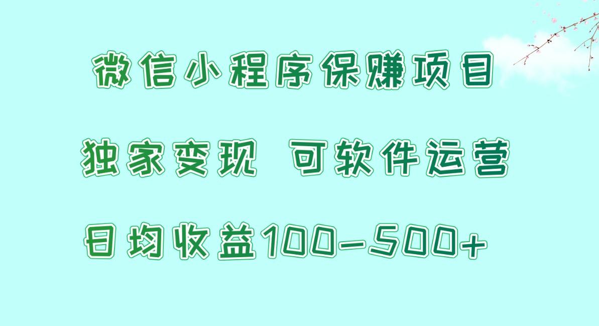 微信小程序保赚项目，日均收益100~500+，独家变现，可软件运营-揽颜居工坊