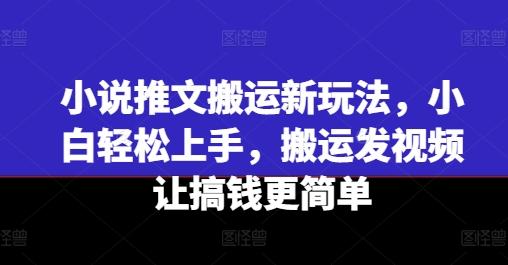 小说推文搬运新玩法，小白轻松上手，搬运发视频让搞钱更简单-揽颜居工坊